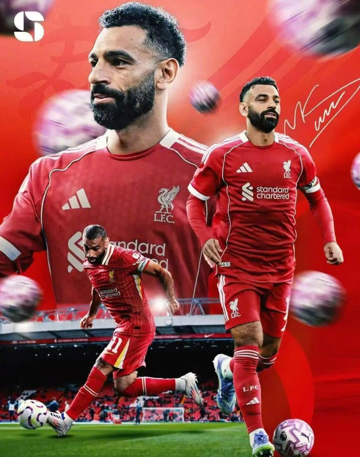  国际篮联官网中文版 